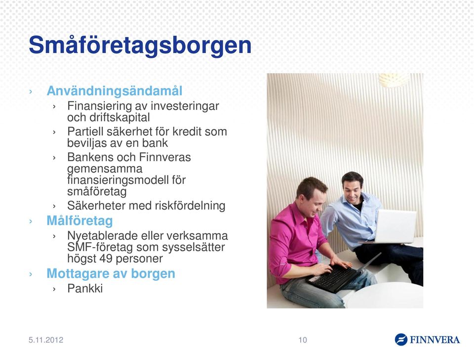 finansieringsmodell för småföretag Säkerheter med riskfördelning Målföretag Nyetablerade