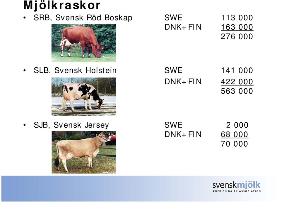 Holstein SWE 141 000 DNK+FIN 422 000 563 000