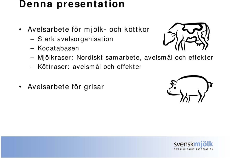 Mjölkraser: Nordiskt samarbete, avelsmål och