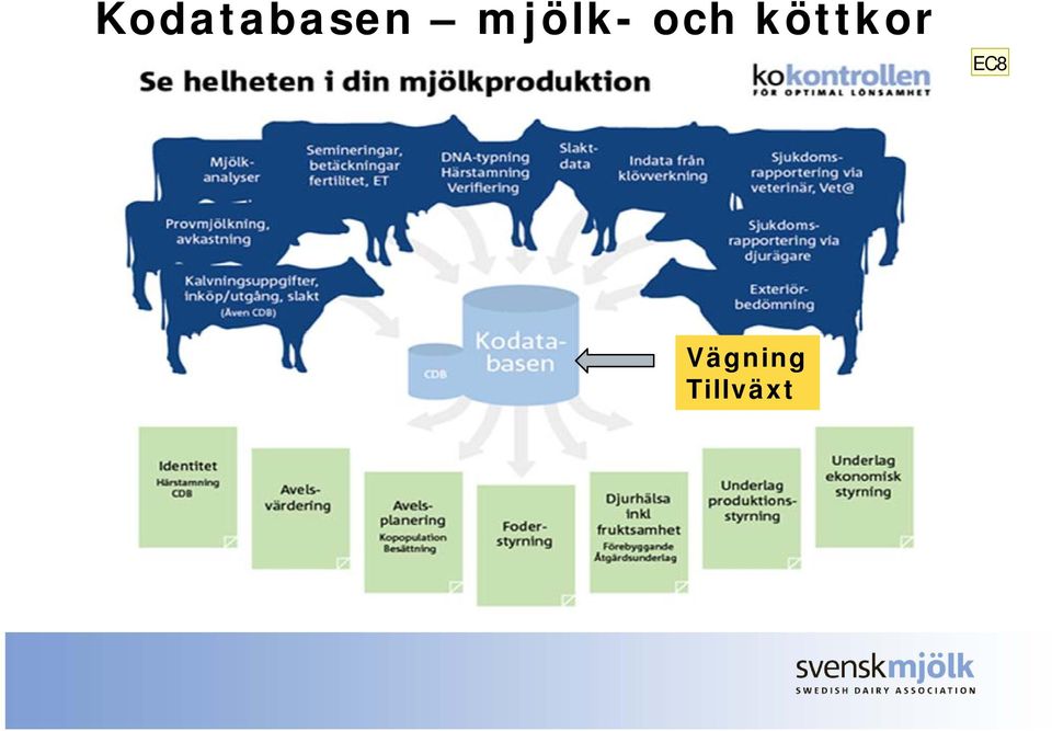 köttkor EC8