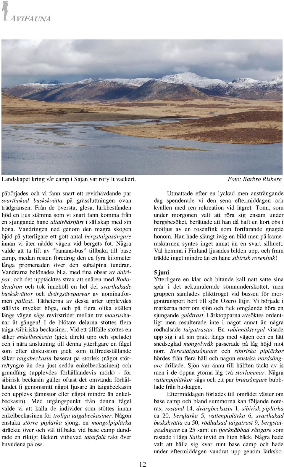Vandringen ned genom den magra skogen bjöd på ytterligare ett gott antal bergstaigasångare innan vi åter nådde vägen vid bergets fot.