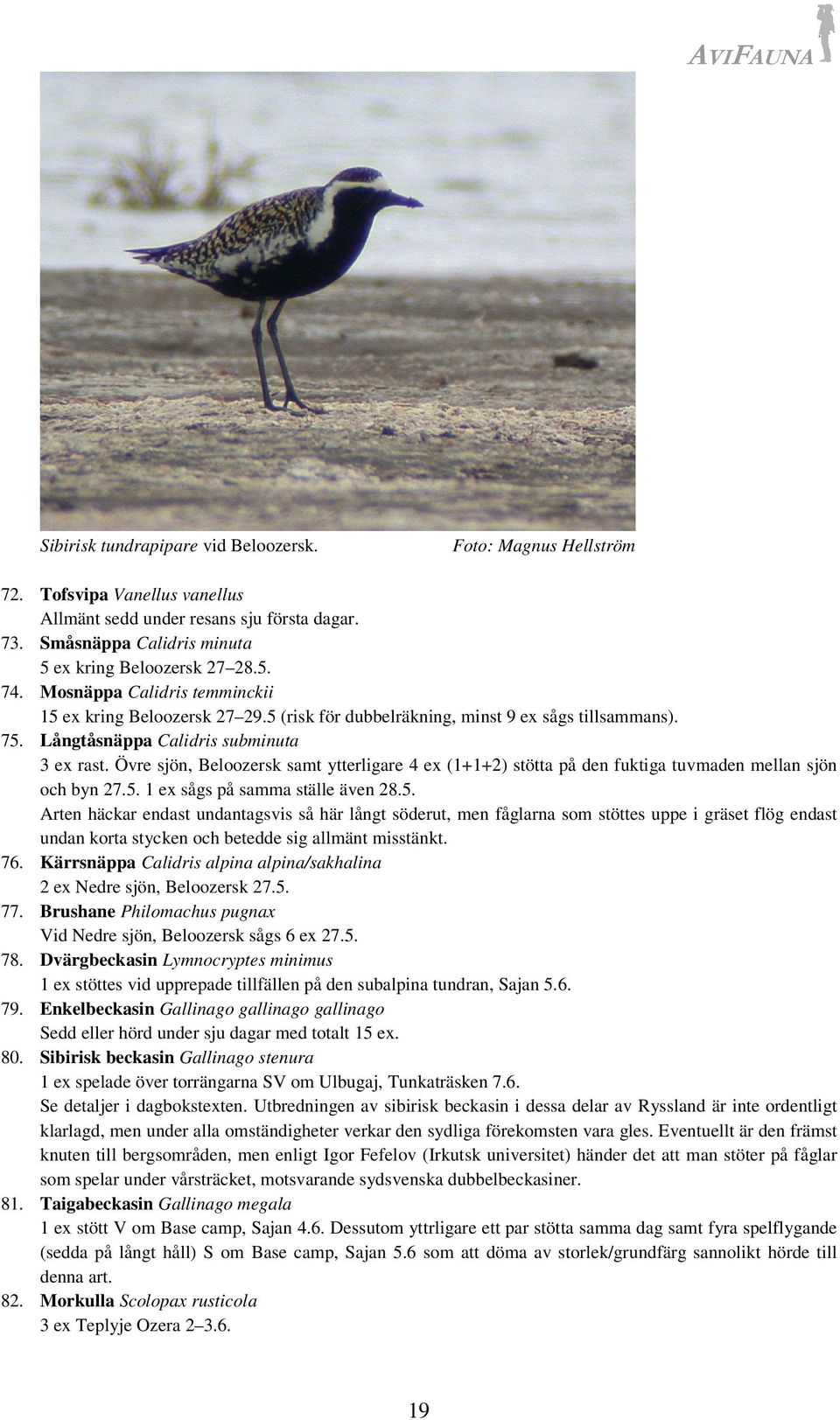 Övre sjön, Beloozersk samt ytterligare 4 ex (1+1+2) stötta på den fuktiga tuvmaden mellan sjön och byn 27.5.