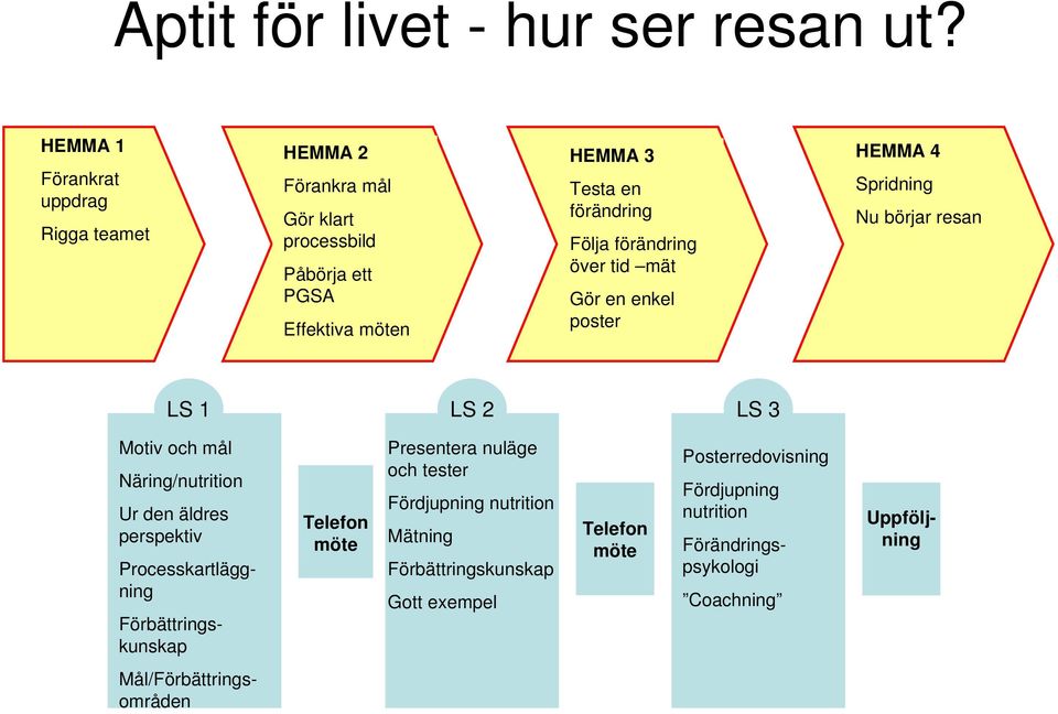 förändring över tid mät Gör en enkel poster HEMMA 4 Spridning Nu börjar resan LS 1 LS 2 LS 3 Motiv och mål Näring/nutrition Ur den äldres perspektiv