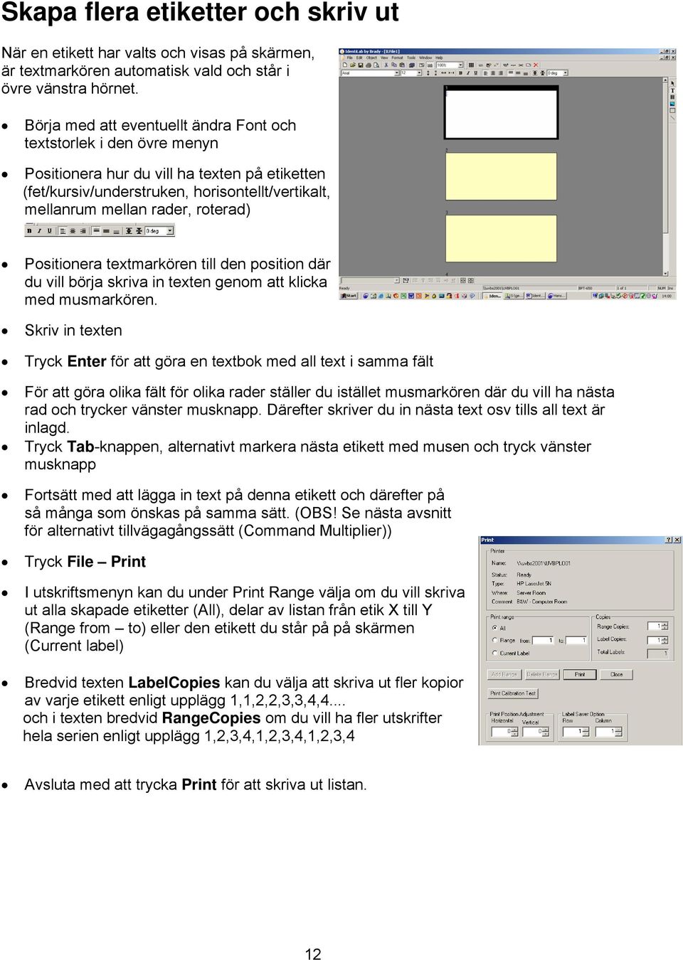 Positionera textmarkören till den position där du vill börja skriva in texten genom att klicka med musmarkören.