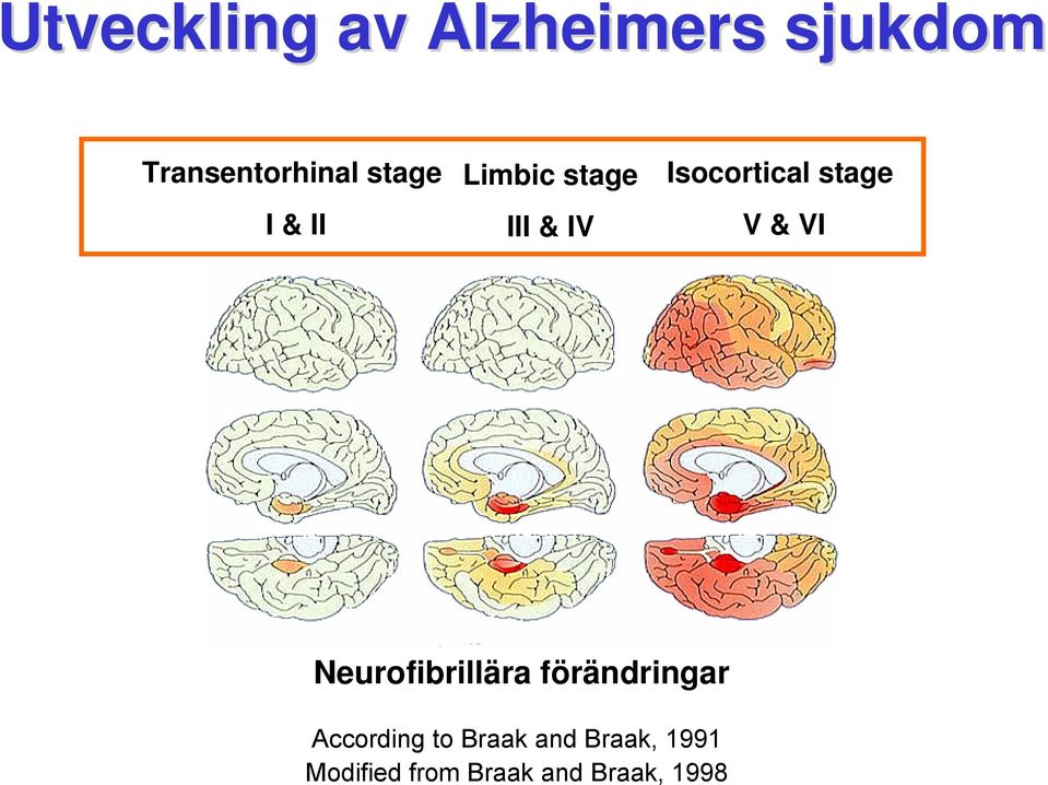 stage V & VI Neurofibrillära förändringar According