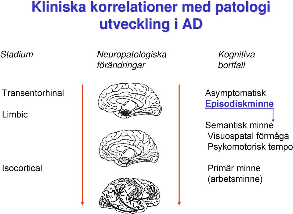 Transentorhinal Limbic Isocortical Asymptomatisk Episodiskminne