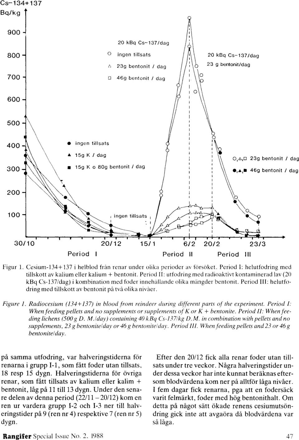 Period II: utfodring med radioaktivt kontaminerad lav (20 kbq Cs-137/dag) i kombination med foder innehållande olika mangder bentonit.