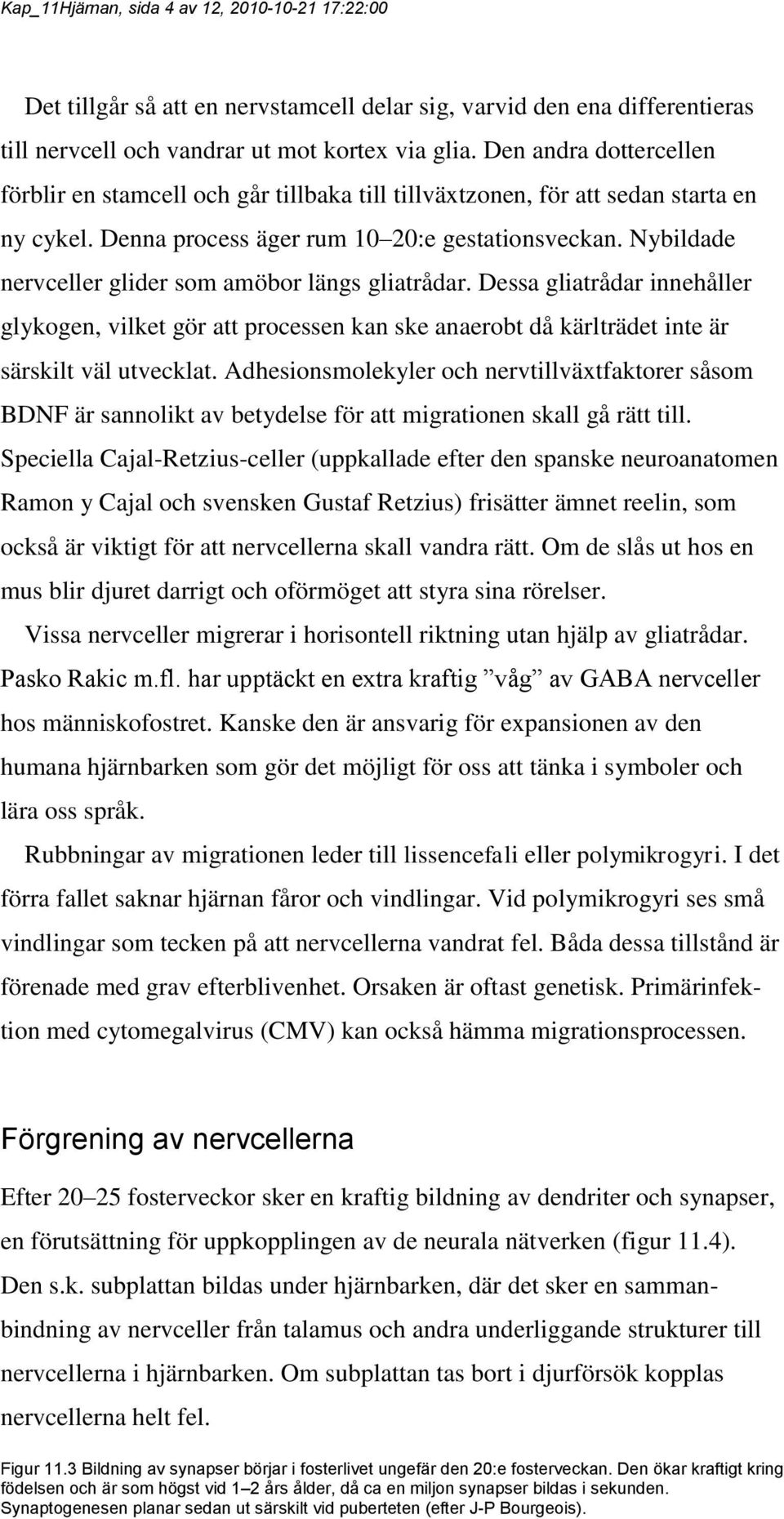 Nybildade nervceller glider som amöbor längs gliatrådar. Dessa gliatrådar innehåller glykogen, vilket gör att processen kan ske anaerobt då kärlträdet inte är särskilt väl utvecklat.