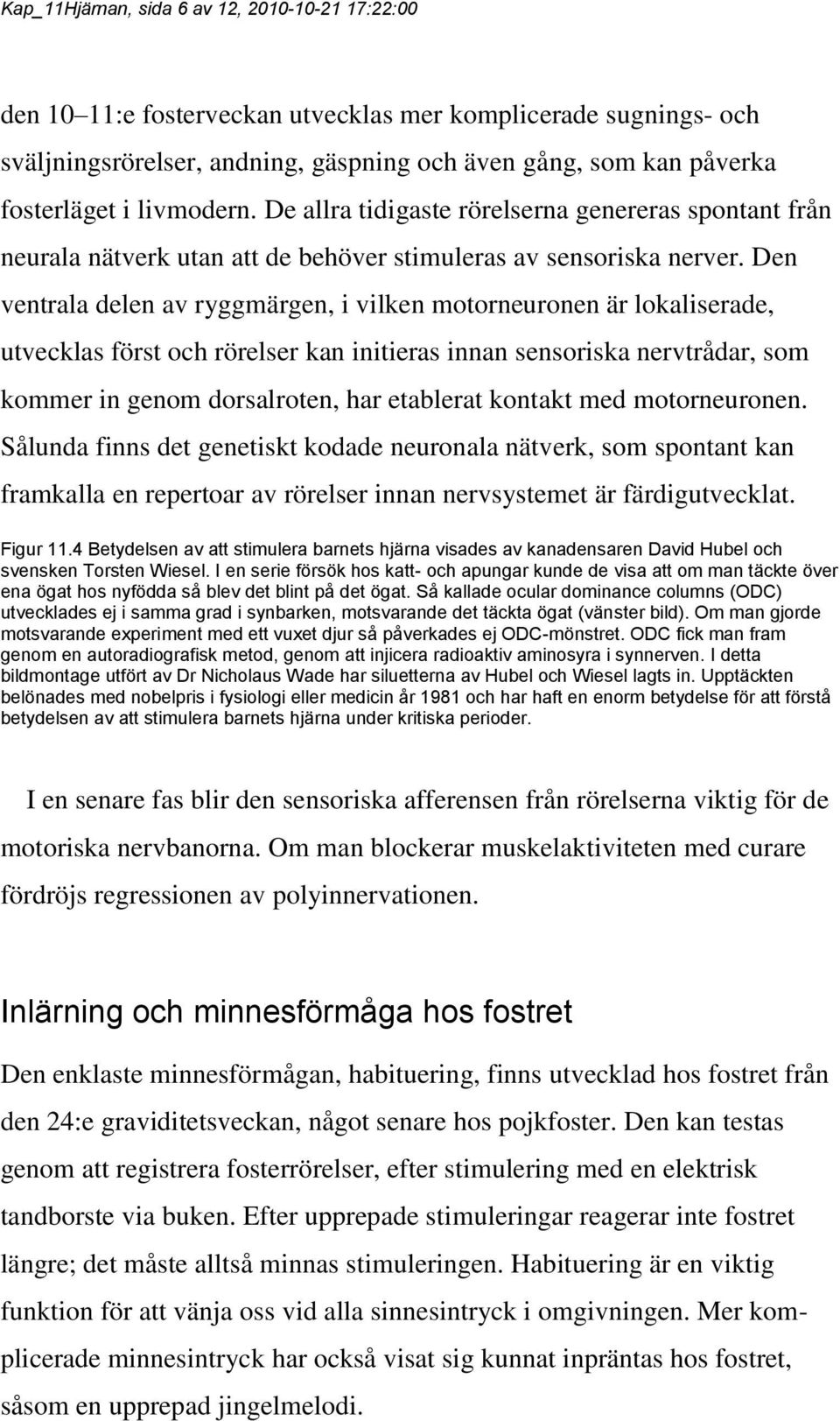 Den ventrala delen av ryggmärgen, i vilken motorneuronen är lokaliserade, utvecklas först och rörelser kan initieras innan sensoriska nervtrådar, som kommer in genom dorsalroten, har etablerat