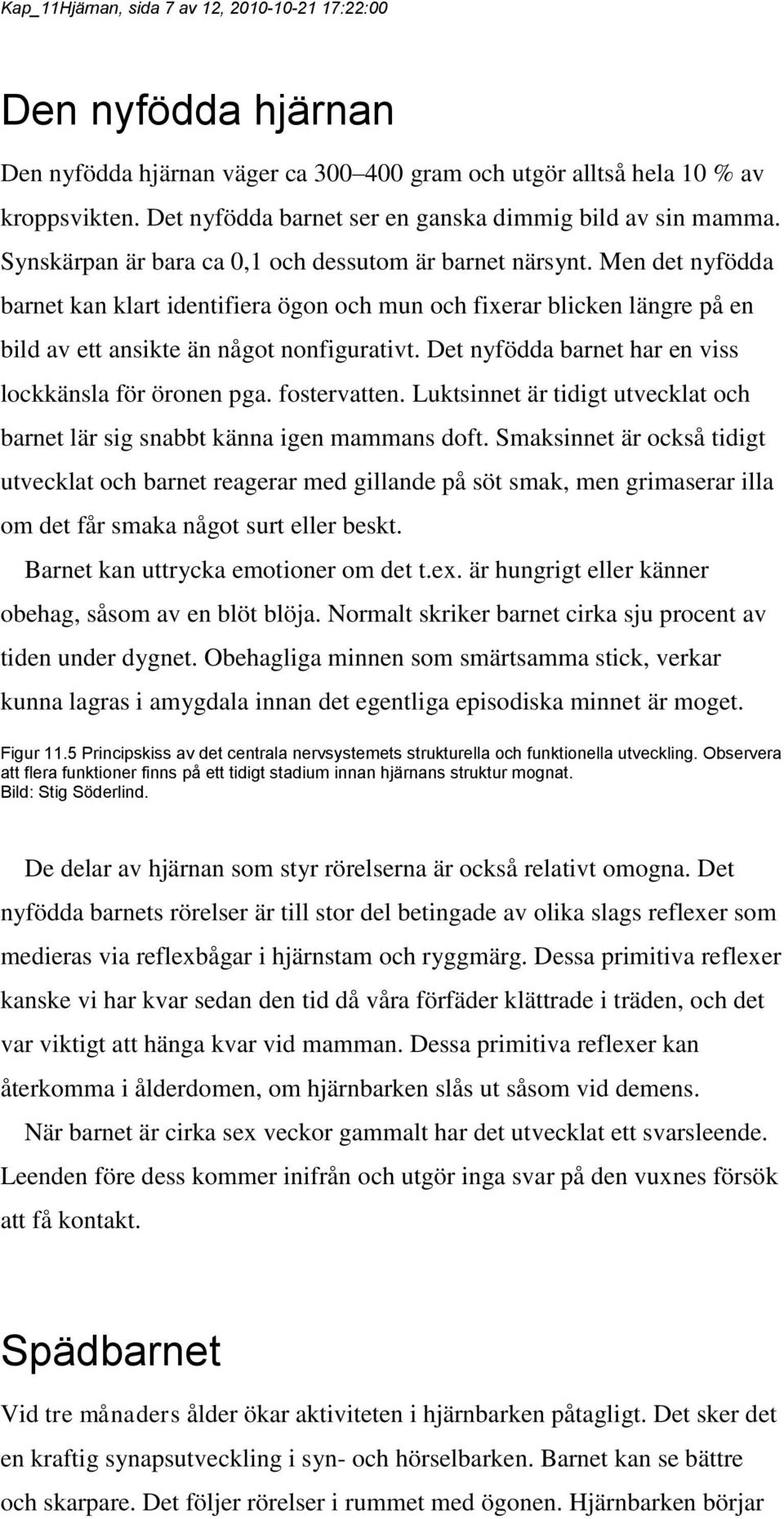 Men det nyfödda barnet kan klart identifiera ögon och mun och fixerar blicken längre på en bild av ett ansikte än något nonfigurativt. Det nyfödda barnet har en viss lockkänsla för öronen pga.
