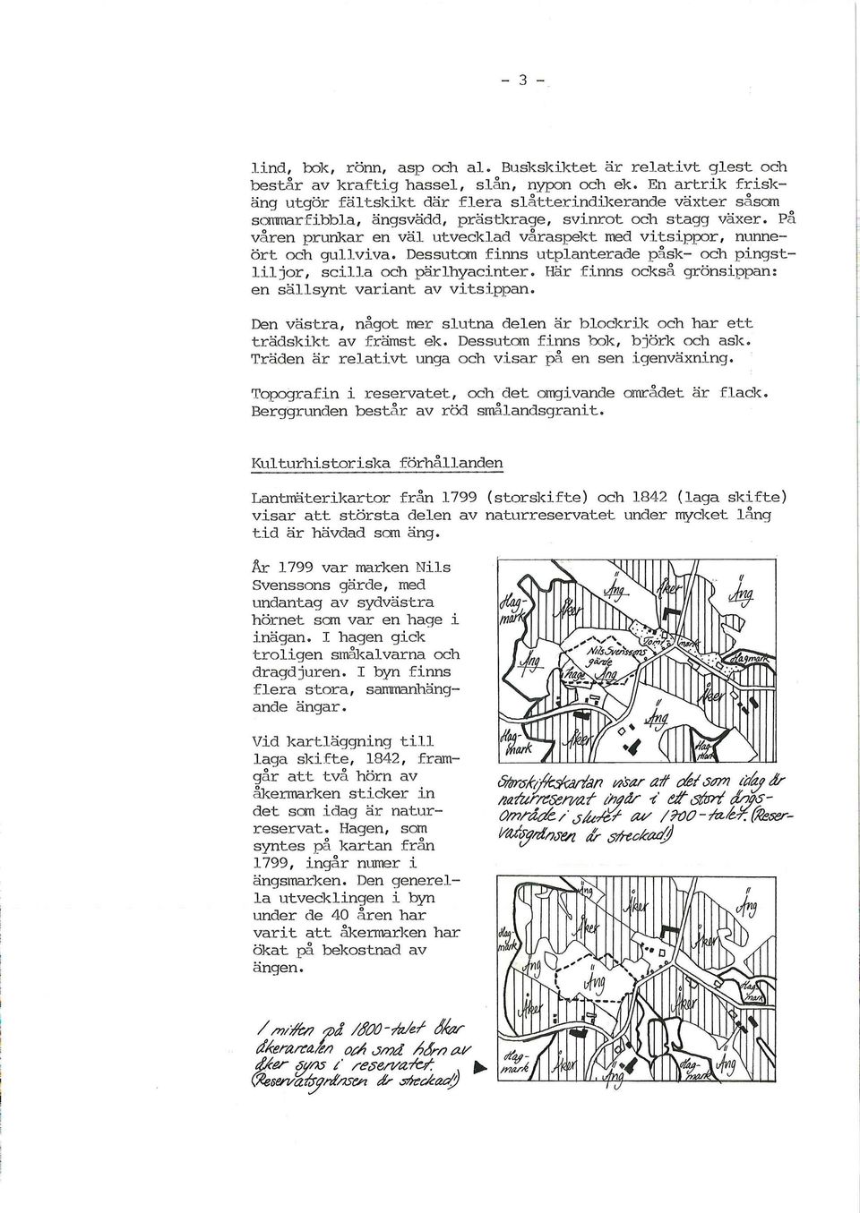 På våren prunkar en väl utvecklad våraspekt med vitsippor, nunneört och gullviva. Dessutom finns utplanterade påsk- och pingstliljor, scilla och pärlhyacinter.