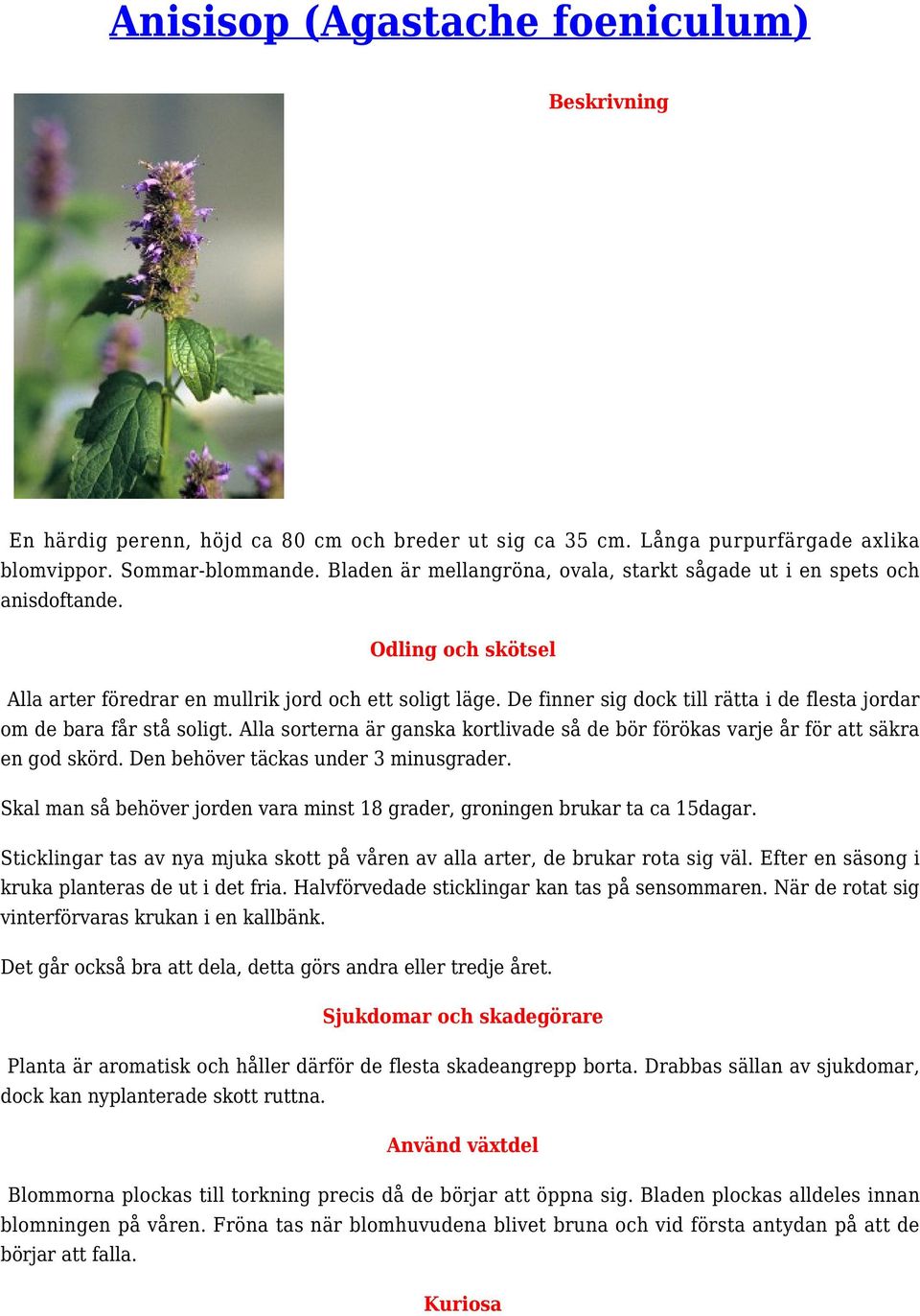 De finner sig dock till rätta i de flesta jordar om de bara får stå soligt. Alla sorterna är ganska kortlivade så de bör förökas varje år för att säkra en god skörd.