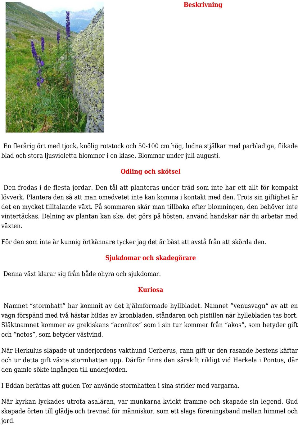 Trots sin giftighet är det en mycket tilltalande växt. På sommaren skär man tillbaka efter blomningen, den behöver inte vintertäckas.