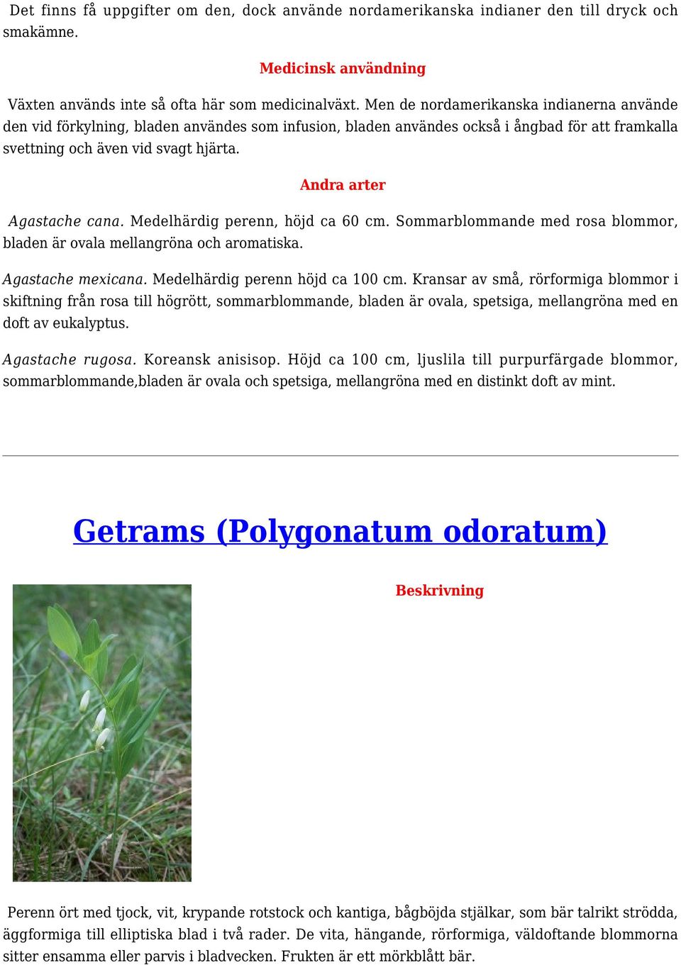 Andra arter Agastache cana. Medelhärdig perenn, höjd ca 60 cm. Sommarblommande med rosa blommor, bladen är ovala mellangröna och aromatiska. Agastache mexicana. Medelhärdig perenn höjd ca 100 cm.