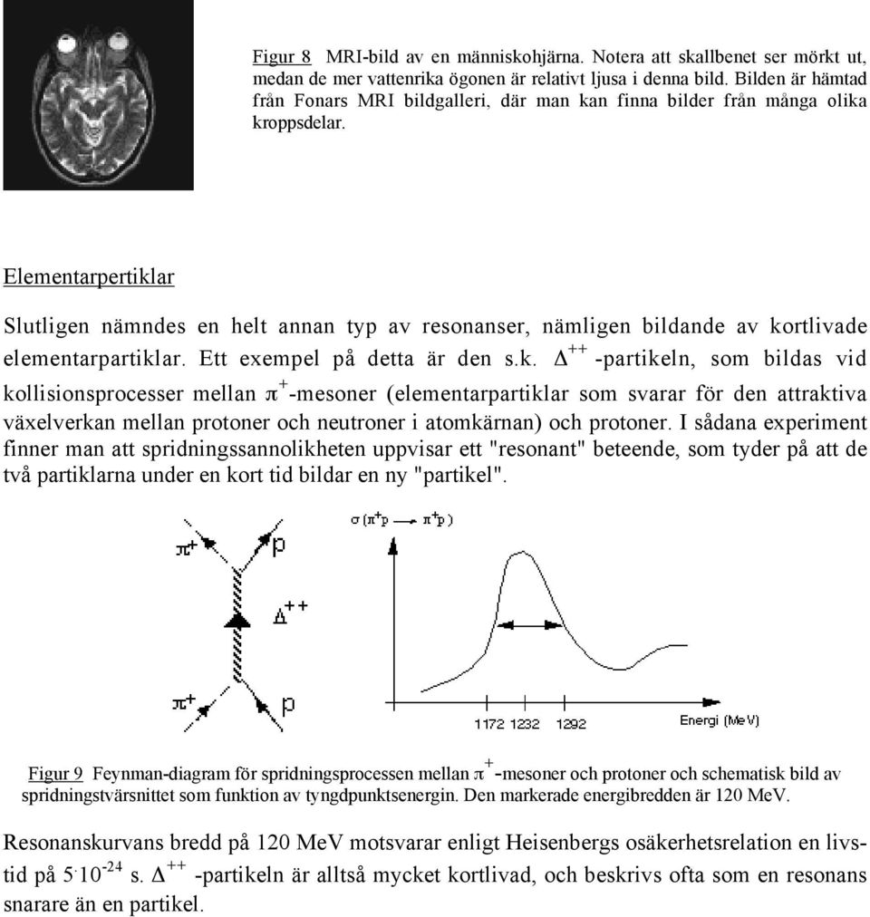 Elementarpertikl