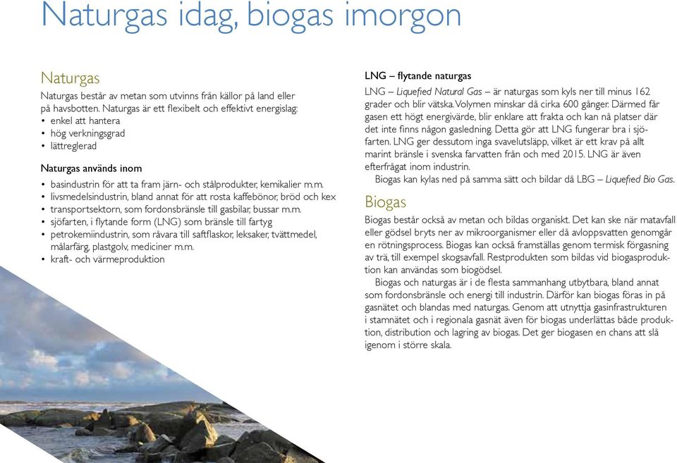 basindustrin för att ta fram järn- och stålprodukter, kemikalier m.m. livsmedelsindustrin, bland annat för att rosta kaffebönor, bröd och kex transportsektorn, som fordonsbränsle till gasbilar, bussar m.