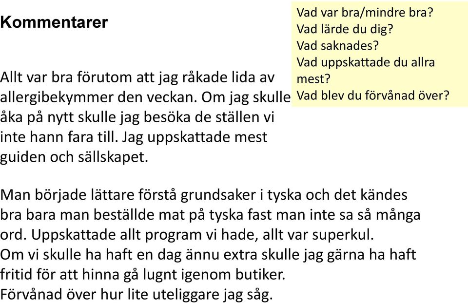 Man började lättare förstå grundsaker i tyska och det kändes bra bara man beställde mat på tyska fast man inte sa så många ord.