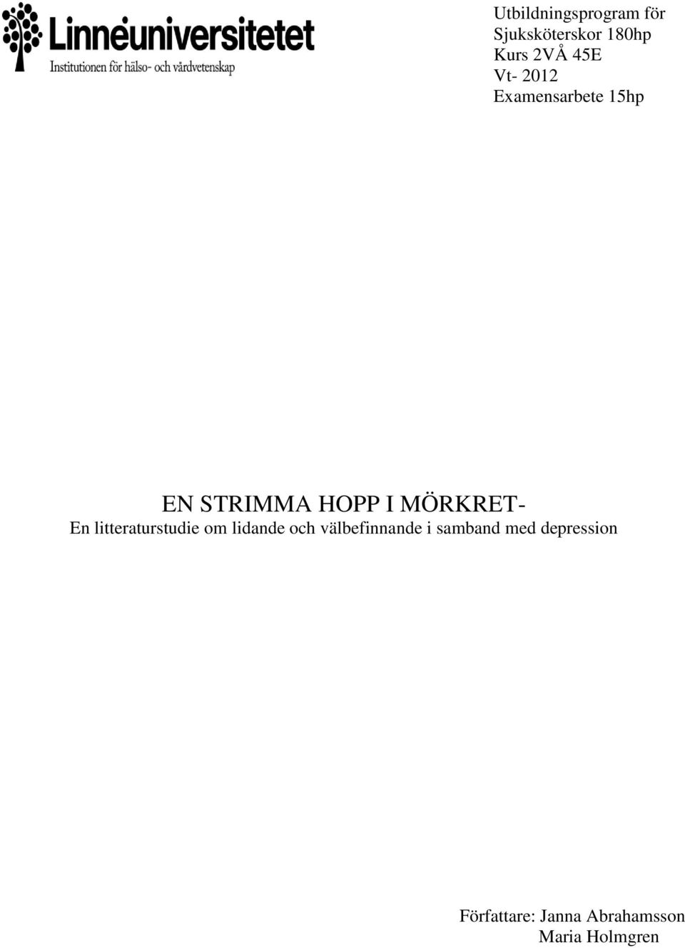 litteraturstudie om lidande och välbefinnande i samband