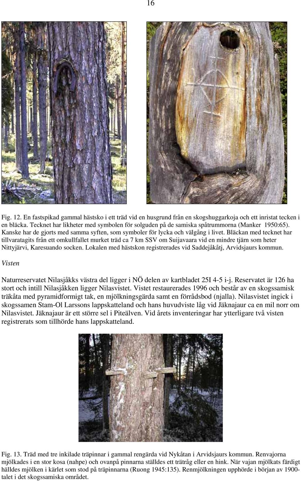 Bläckan med tecknet har tillvaratagits från ett omkullfallet murket träd ca 7 km SSV om Suijavaara vid en mindre tjärn som heter Nittyjärvi, Karesuando socken.