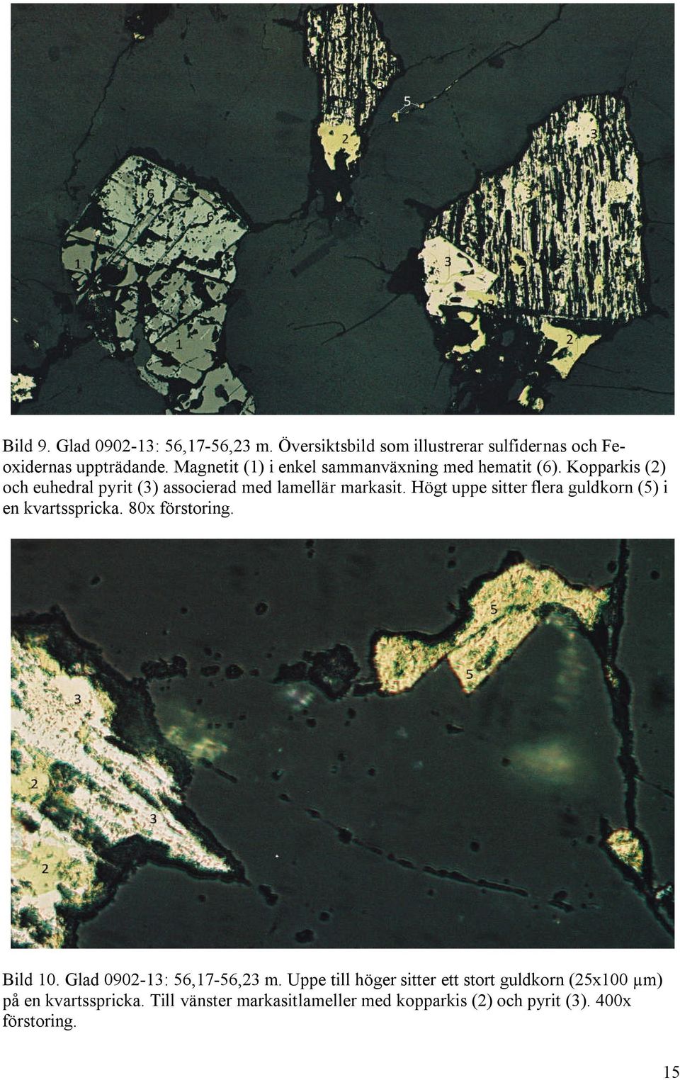 Högt uppe sitter flera guldkorn (5) i en kvartsspricka. 80x förstoring. Bild 10. Glad 0902-13: 56,17-56,23 m.