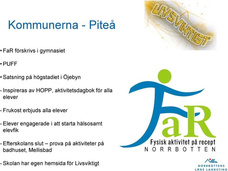 alla elever - Elever engagerade i att starta hälsosamt elevfik - Efterskolans