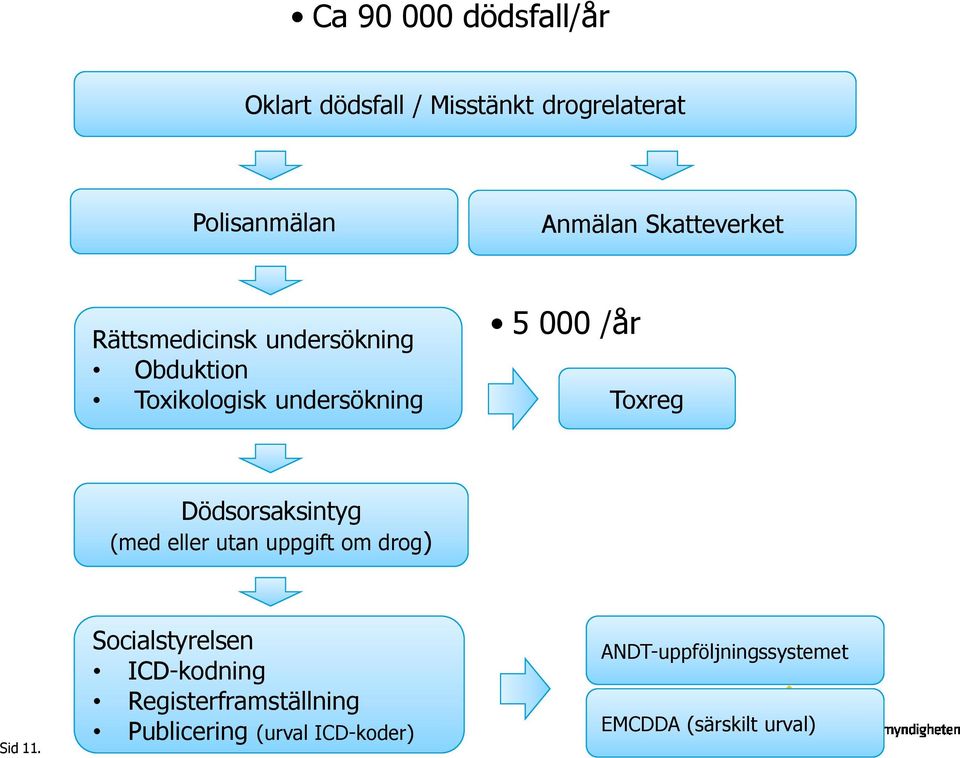 Toxreg Dödsorsaksintyg (med eller utan uppgift om drog) Sid 11.