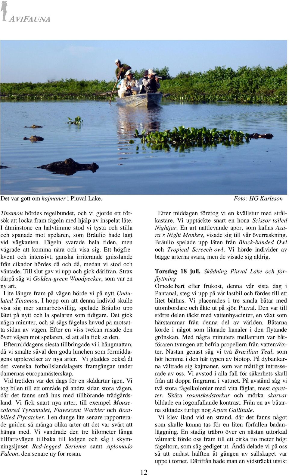 Ett högfrekvent och intensivt, ganska irriterande gnisslande från cikador hördes då och då, medan vi stod och väntade. Till slut gav vi upp och gick därifrån.