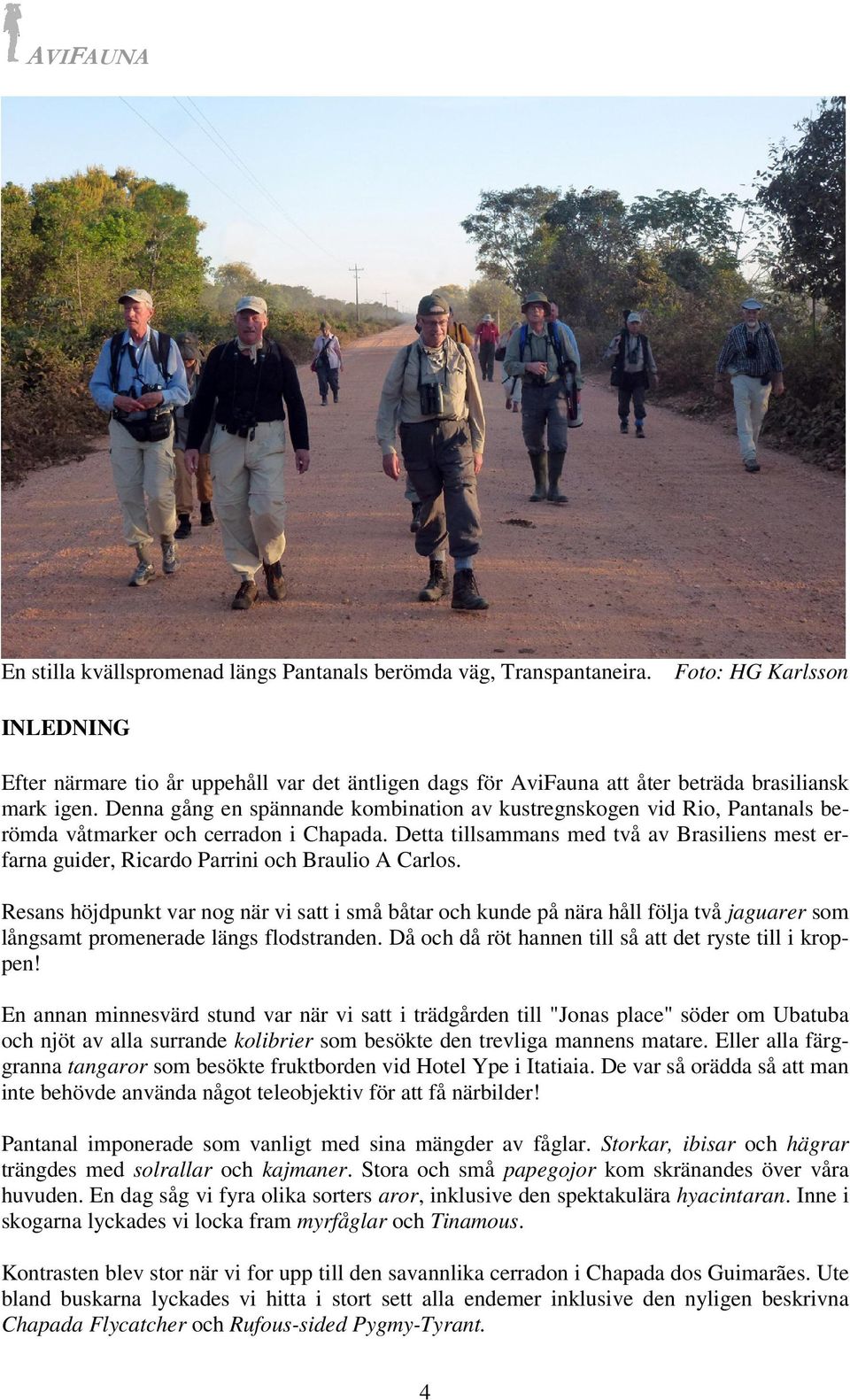 Denna gång en spännande kombination av kustregnskogen vid Rio, Pantanals berömda våtmarker och cerradon i Chapada.