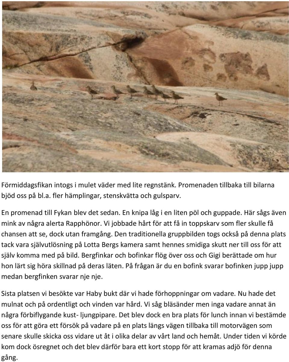 Den traditionella gruppbilden togs också på denna plats tack vara självutlösning på Lotta Bergs kamera samt hennes smidiga skutt ner till oss för att själv komma med på bild.