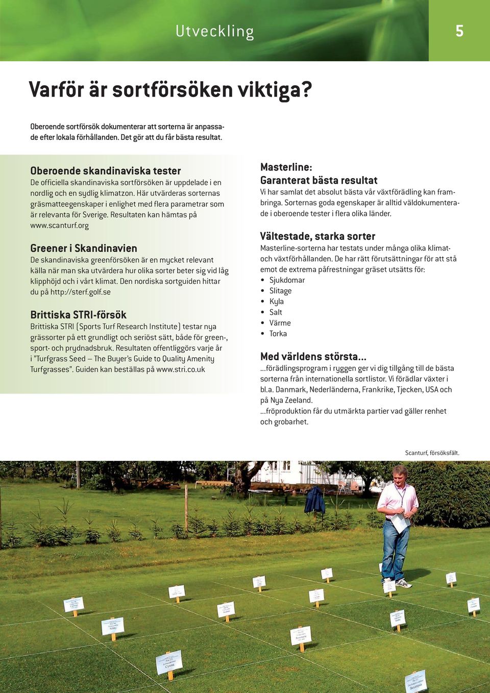 Här utvärderas sorternas gräsmatteegenskaper i enlighet med flera parametrar som är relevanta för Sverige. Resultaten kan hämtas på www.scanturf.
