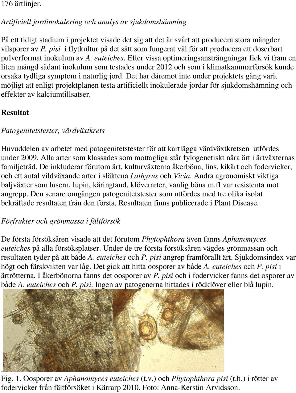 Efter vissa optimeringsansträngningar fick vi fram en liten mängd sådant inokulum som testades under 2012 och som i klimatkammarförsök kunde orsaka tydliga symptom i naturlig jord.