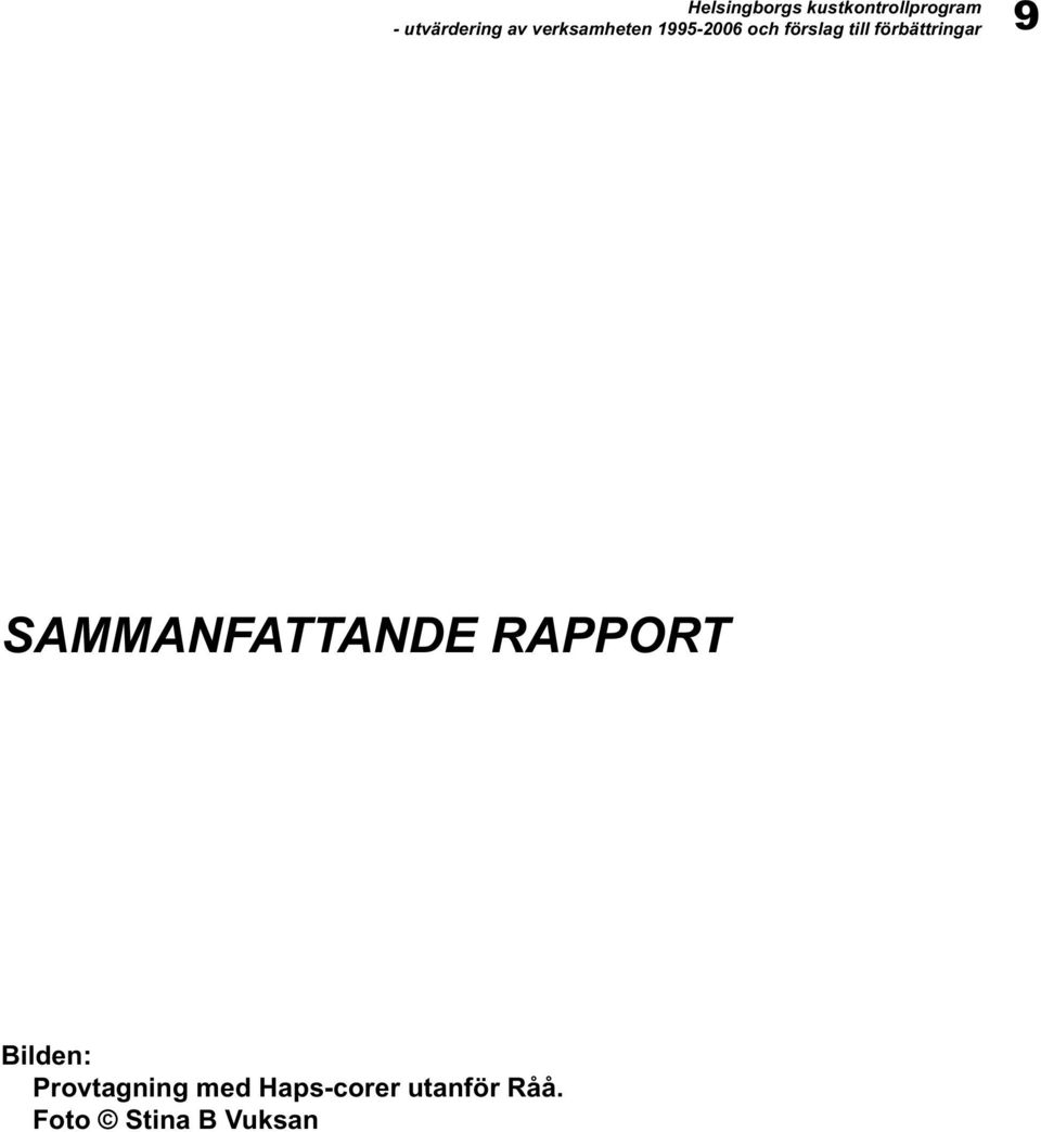 SAMMANFATTANDE RAPPORT Bilden:
