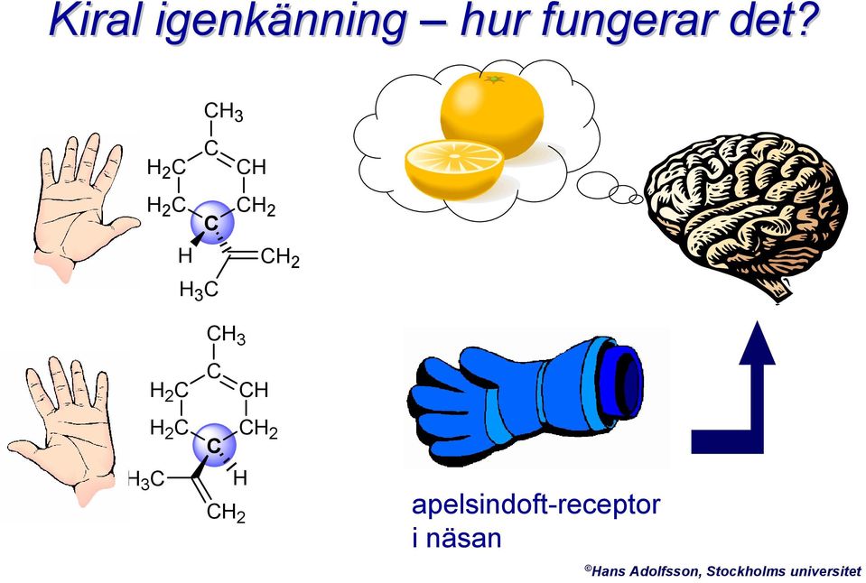 apelsindoft-receptor i näsan