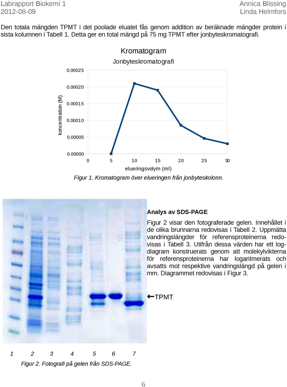 Analys av SDS-PAGE Figur 2 visar den fotograferade gelen. Innehållet i de olika brunnarna redovisas i Tabell 2. Uppmätta vandringslängder för referensproteinerna redovisas i Tabell 3.