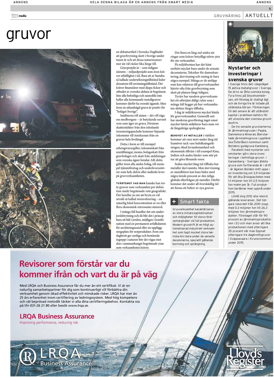 Bara ett av hundra så kallade undersökningstillstånd leder dessutom till utvinningstillstånd. Det kräver finansiärer med djupa fickor och utbudet av svenska sådana är begränsat.