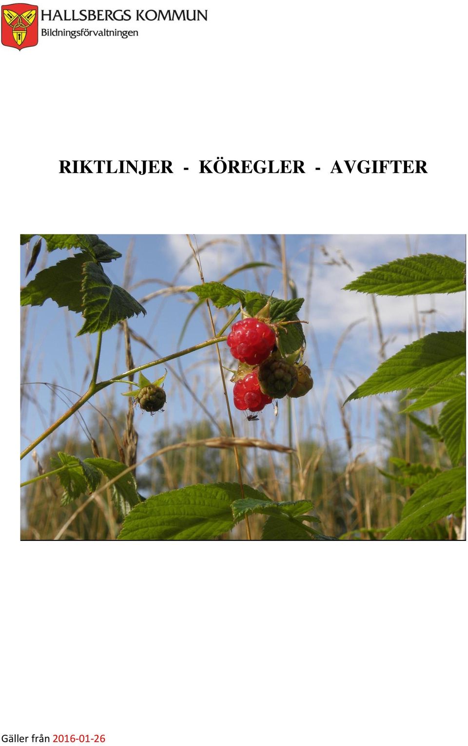 RIKTLINJER -