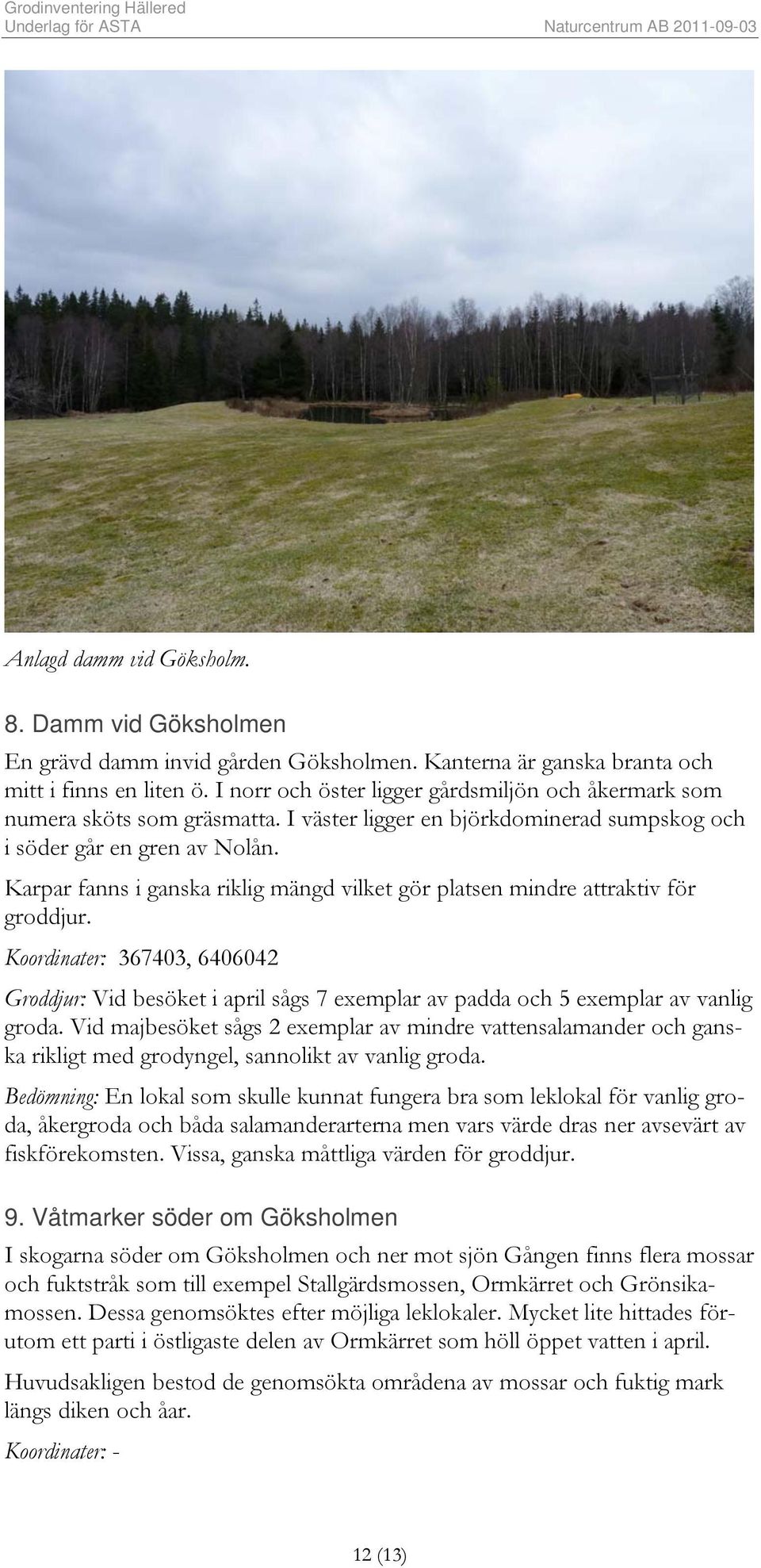 Karpar fanns i ganska riklig mängd vilket gör platsen mindre attraktiv för groddjur. Koordinater: 367403, 6406042 Groddjur: Vid besöket i april sågs 7 exemplar av padda och 5 exemplar av vanlig groda.