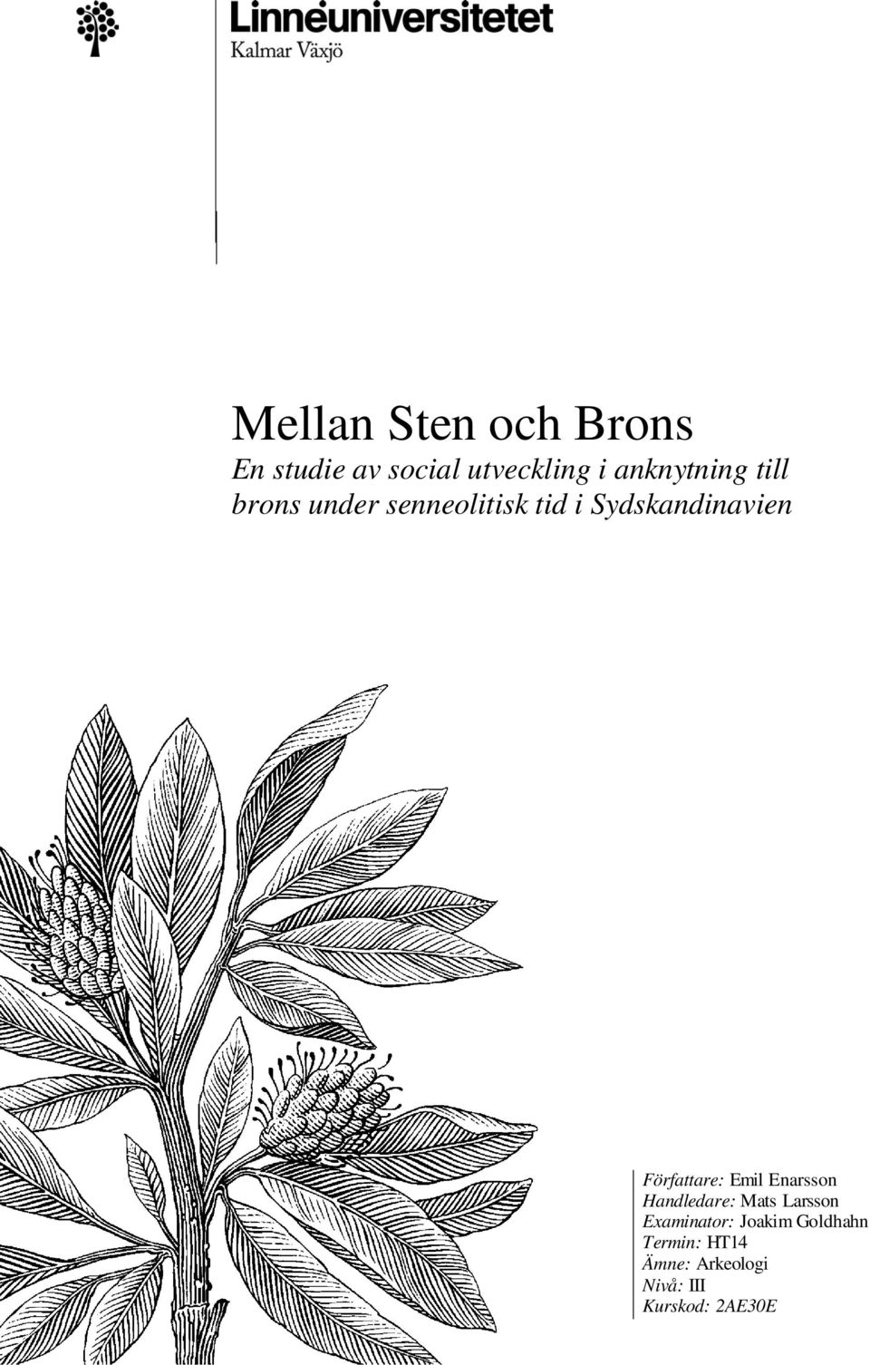 Författare: Emil Enarsson Handledare: Mats Larsson Examinator: