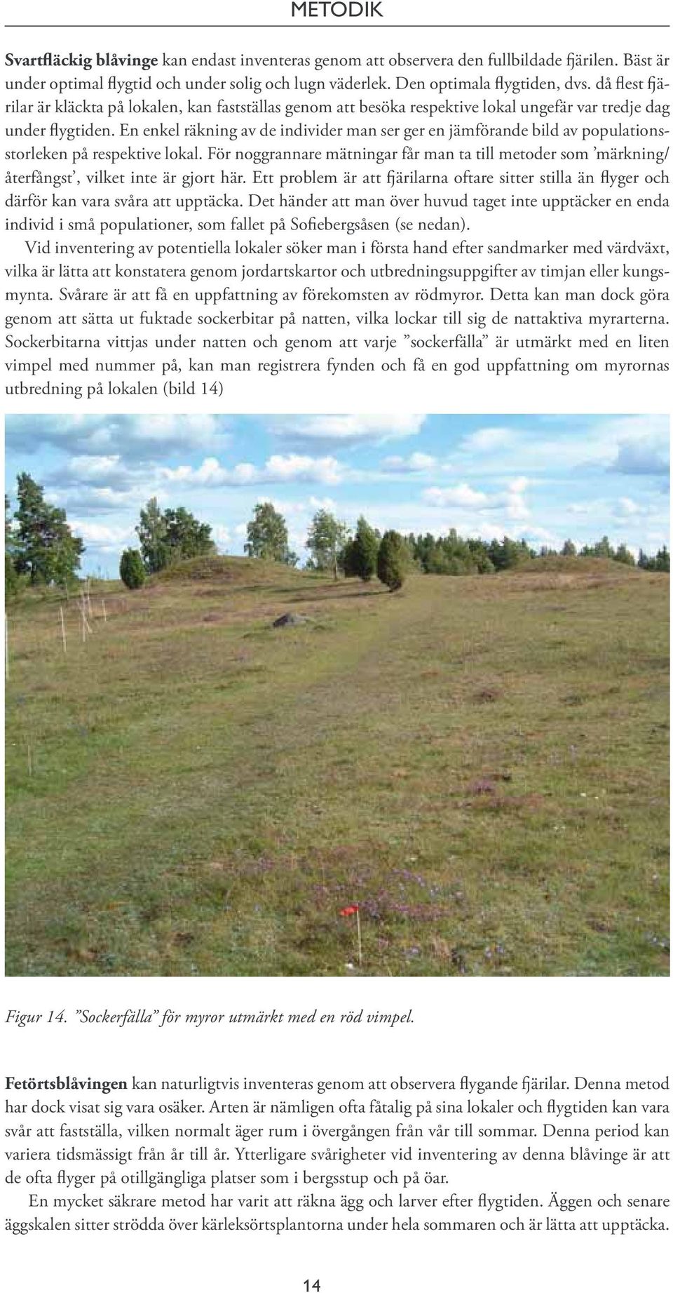 En enkel räkning av de individer man ser ger en jämförande bild av populationsstorleken på respektive lokal.