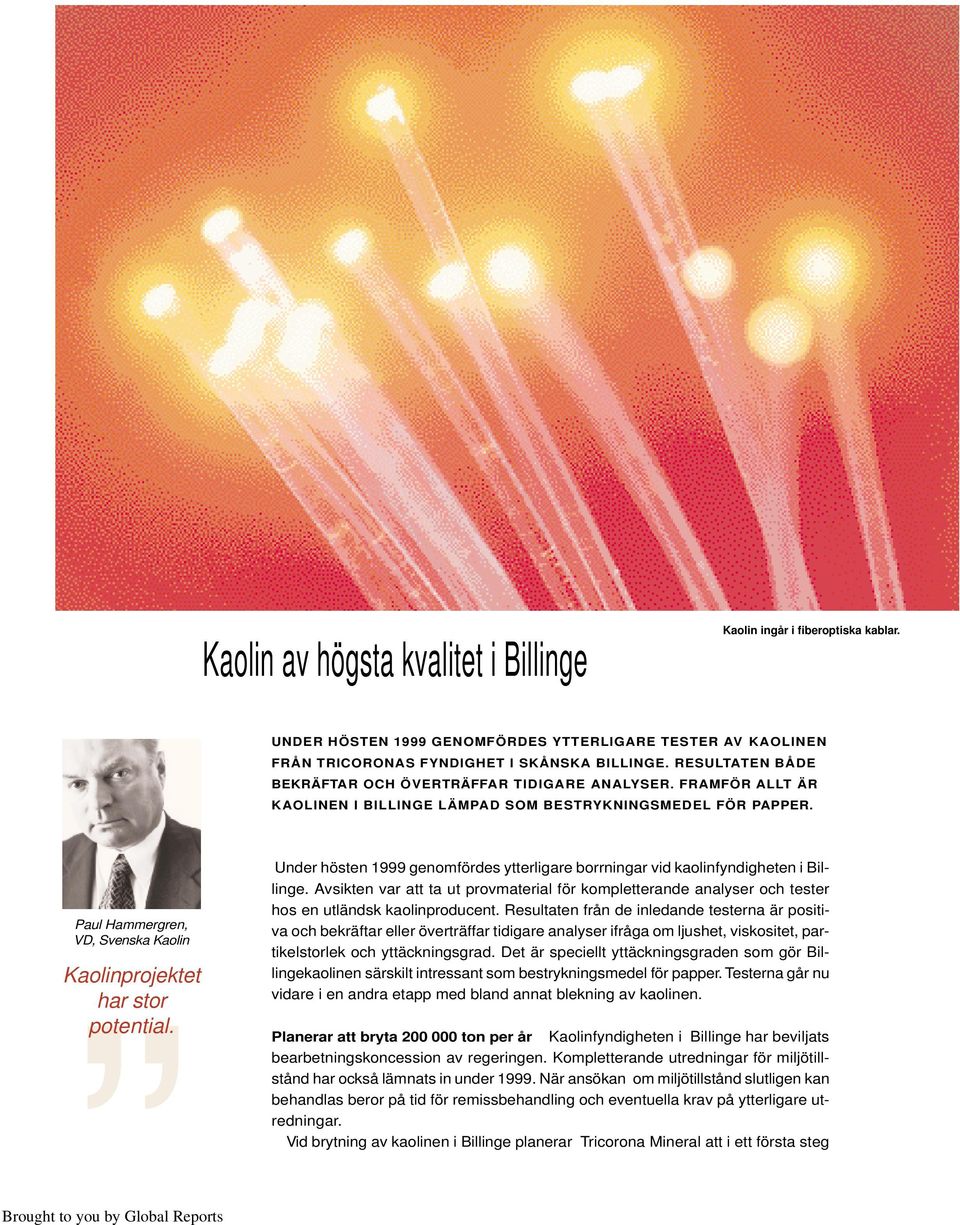 Paul Hammergren, VD, Svenska Kaolin Kaolinprojektet har stor potential. Under hösten 1999 genomfördes ytterligare borrningar vid kaolinfyndigheten i Billinge.