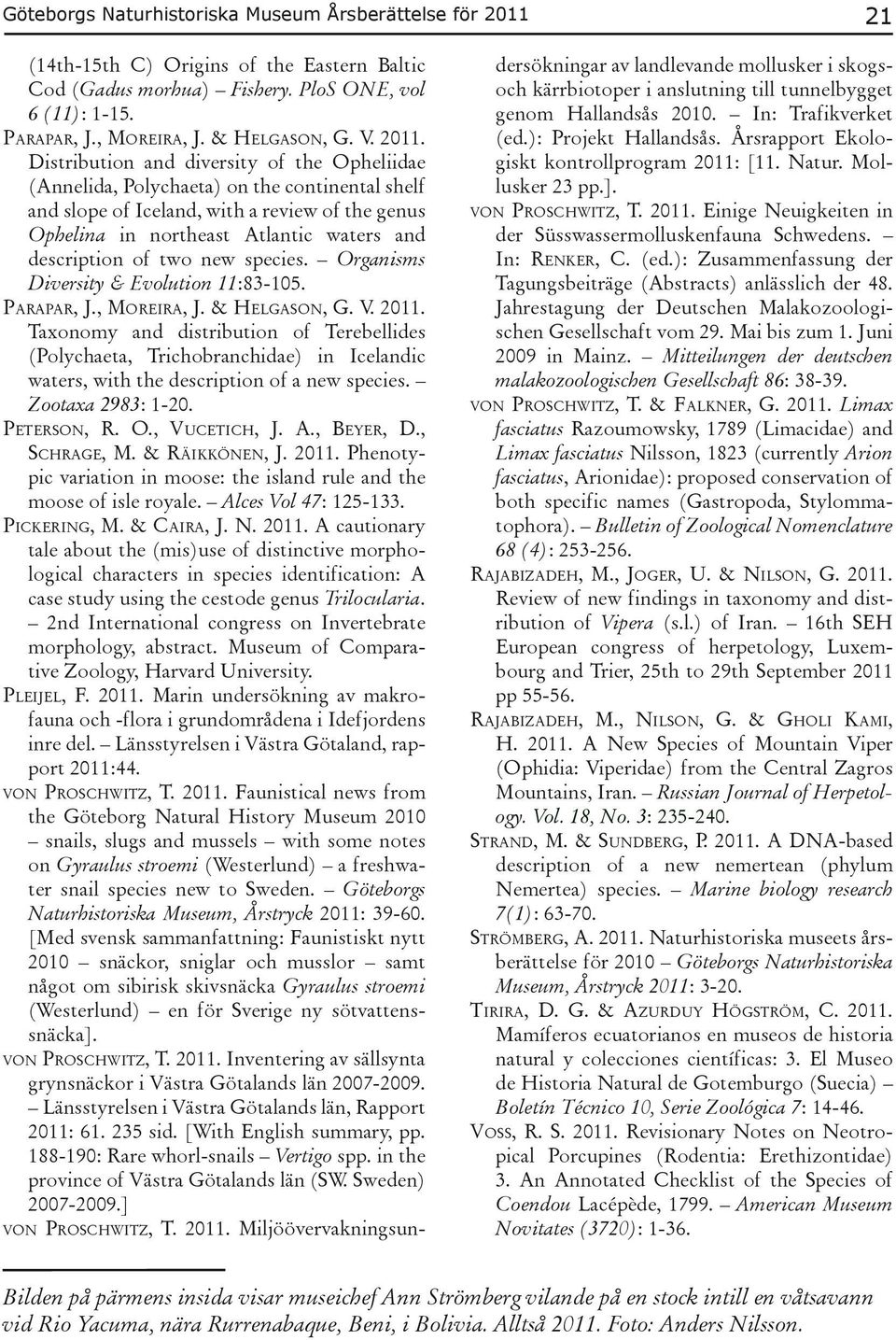 Distribution and diversity of the Opheliidae (Annelida, Polychaeta) on the continental shelf and slope of Iceland, with a review of the genus Ophelina in northeast Atlantic waters and description of