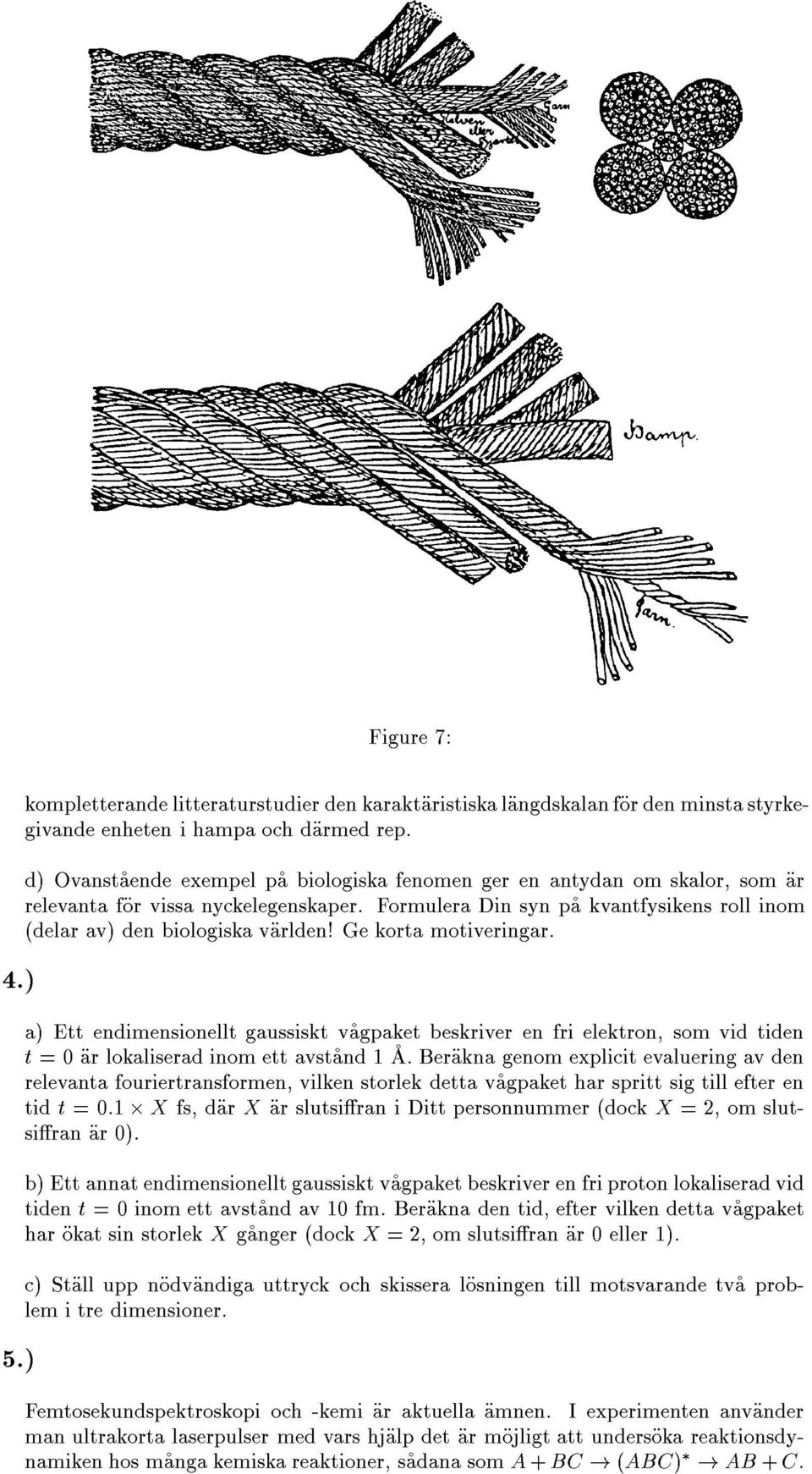 Formulera Din syn pça kvantfysikens roll inom èdelar avè den biologiska víarlden! Ge korta motiveringar.