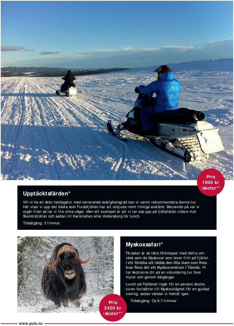 Tidsåtgång: 3 timmar 1900 kr Myskoxsafari* 2400 kr Få saker är så nära förknippat med detta område som de Myskoxar som lever fritt på fjället.