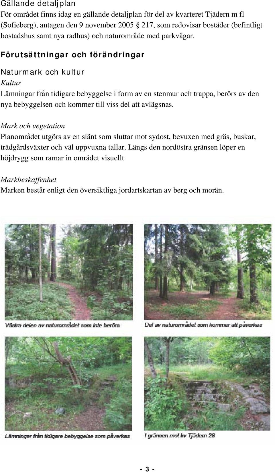 Förutsättningar och förändringar Naturmark och kultur Kultur Lämningar från tidigare bebyggelse i form av en stenmur och trappa, berörs av den nya bebyggelsen och kommer till viss del att