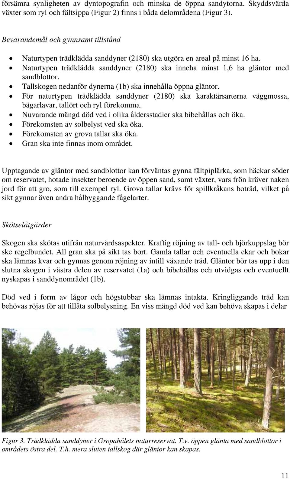 Tallskogen nedanför dynerna (1b) ska innehålla öppna gläntor. För naturtypen trädklädda sanddyner (2180) ska karaktärsarterna väggmossa, bägarlavar, tallört och ryl förekomma.