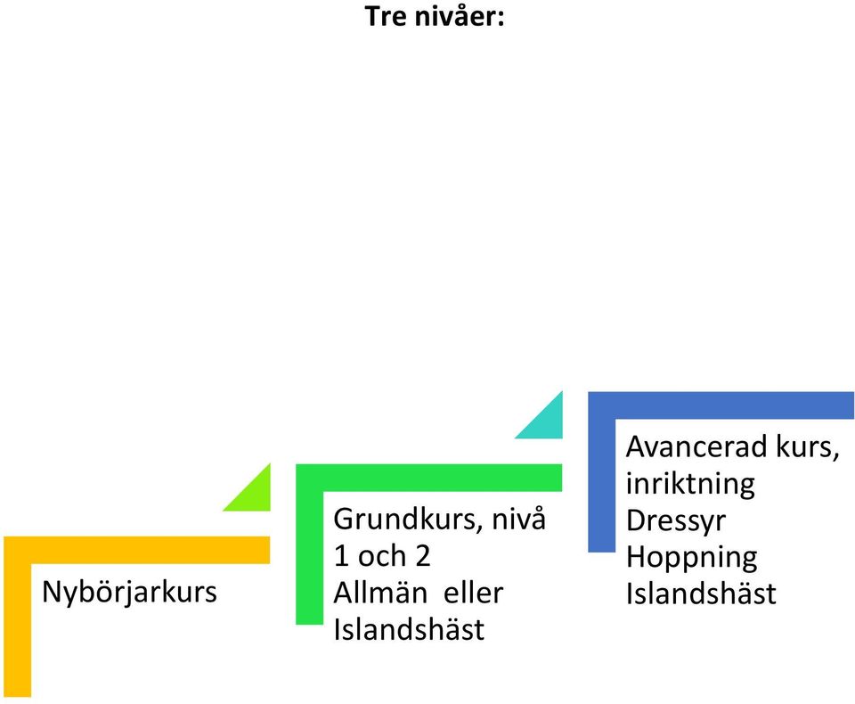 eller Islandshäst Avancerad