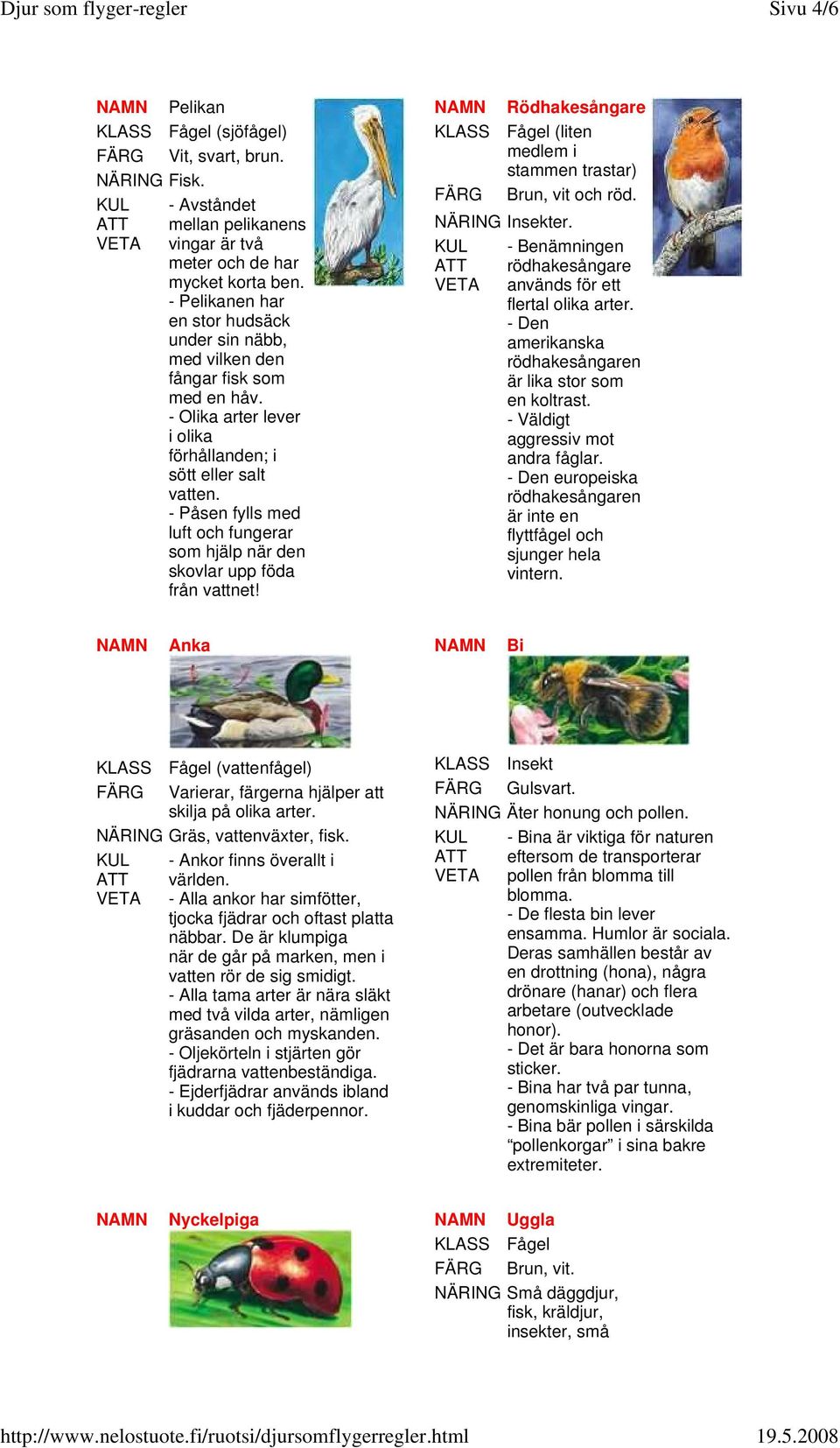 - Påsen fylls med luft och fungerar som hjälp när den skovlar upp föda från vattnet! Rödhakesångare Fågel (liten medlem i stammen trastar) Brun, vit och röd. NÄRING Insekter.
