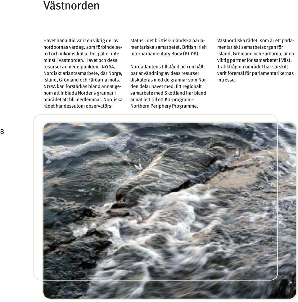 nora kan förstärkas bland annat genom att inbjuda Nordens grannar i området att bli medlemmar.