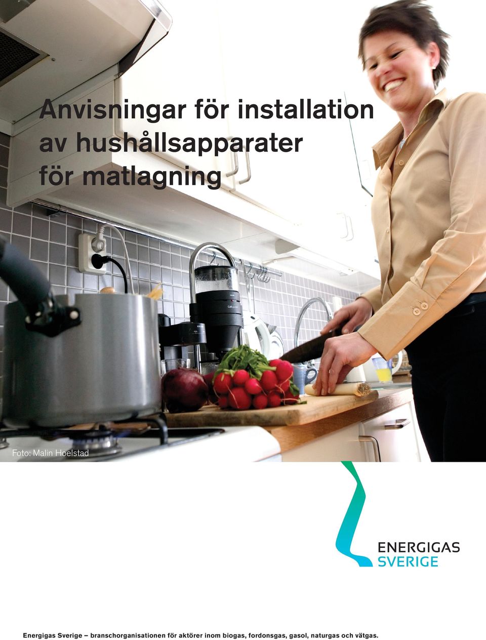 Hoelstad Energigas Sverige