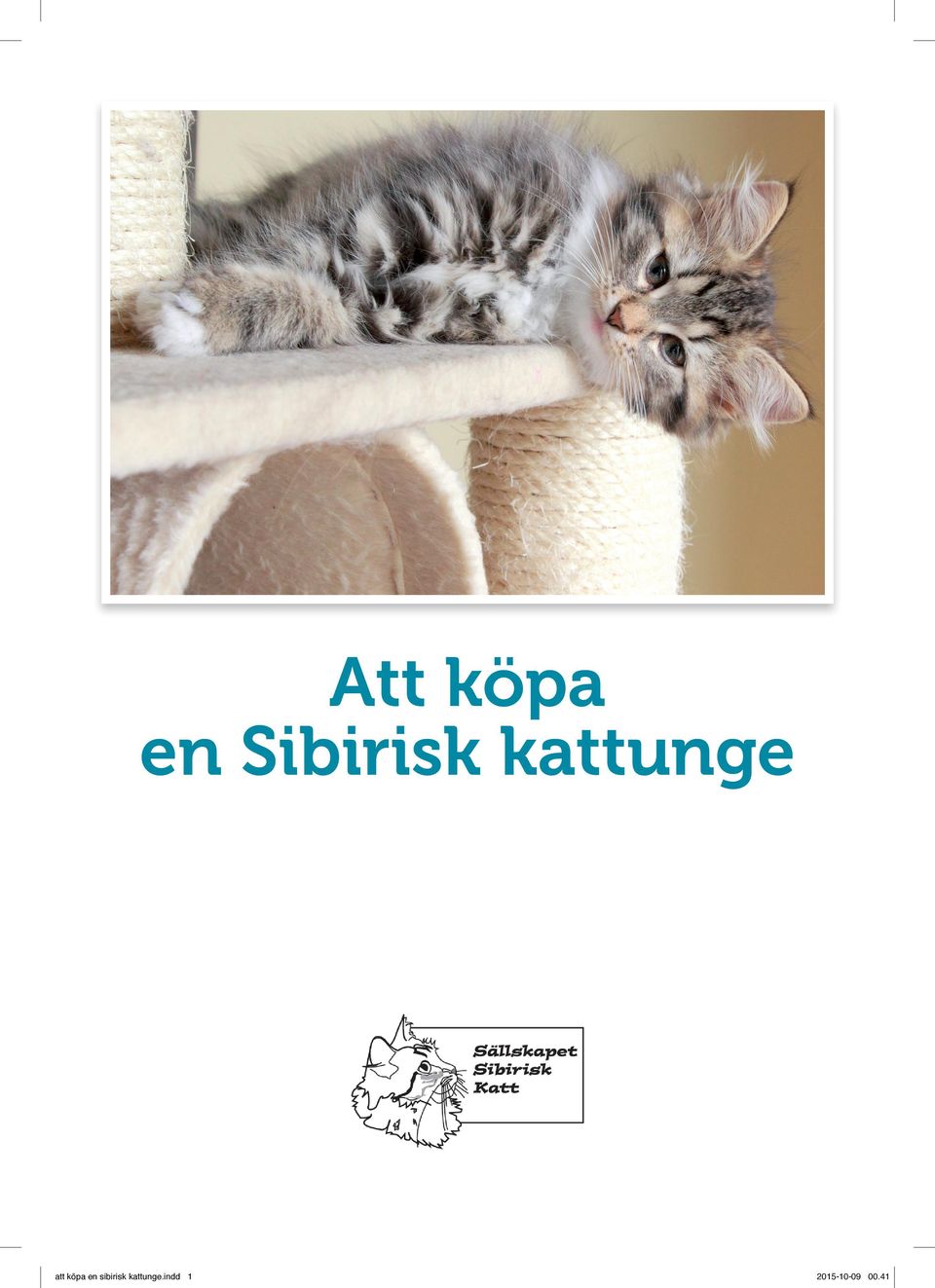 sibirisk kattunge.